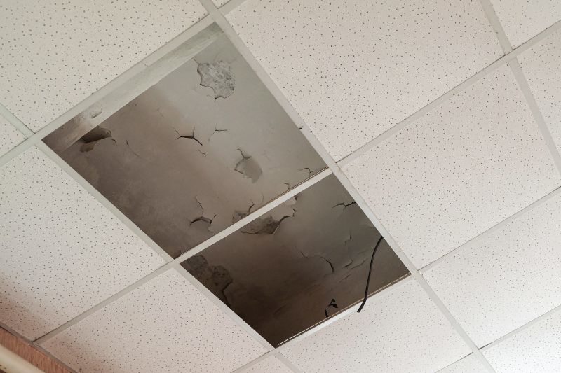 Ceiling Crack Repair