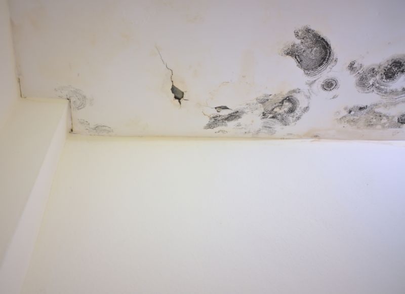Ceiling Crack Repair Process