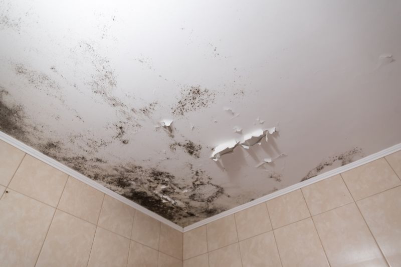 Common Causes of Ceiling Cracks