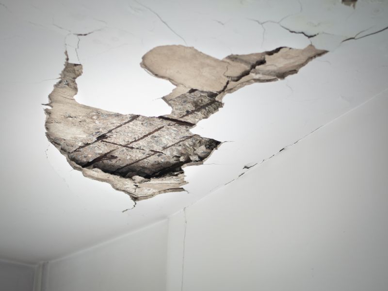 Mold and Mildew Growth